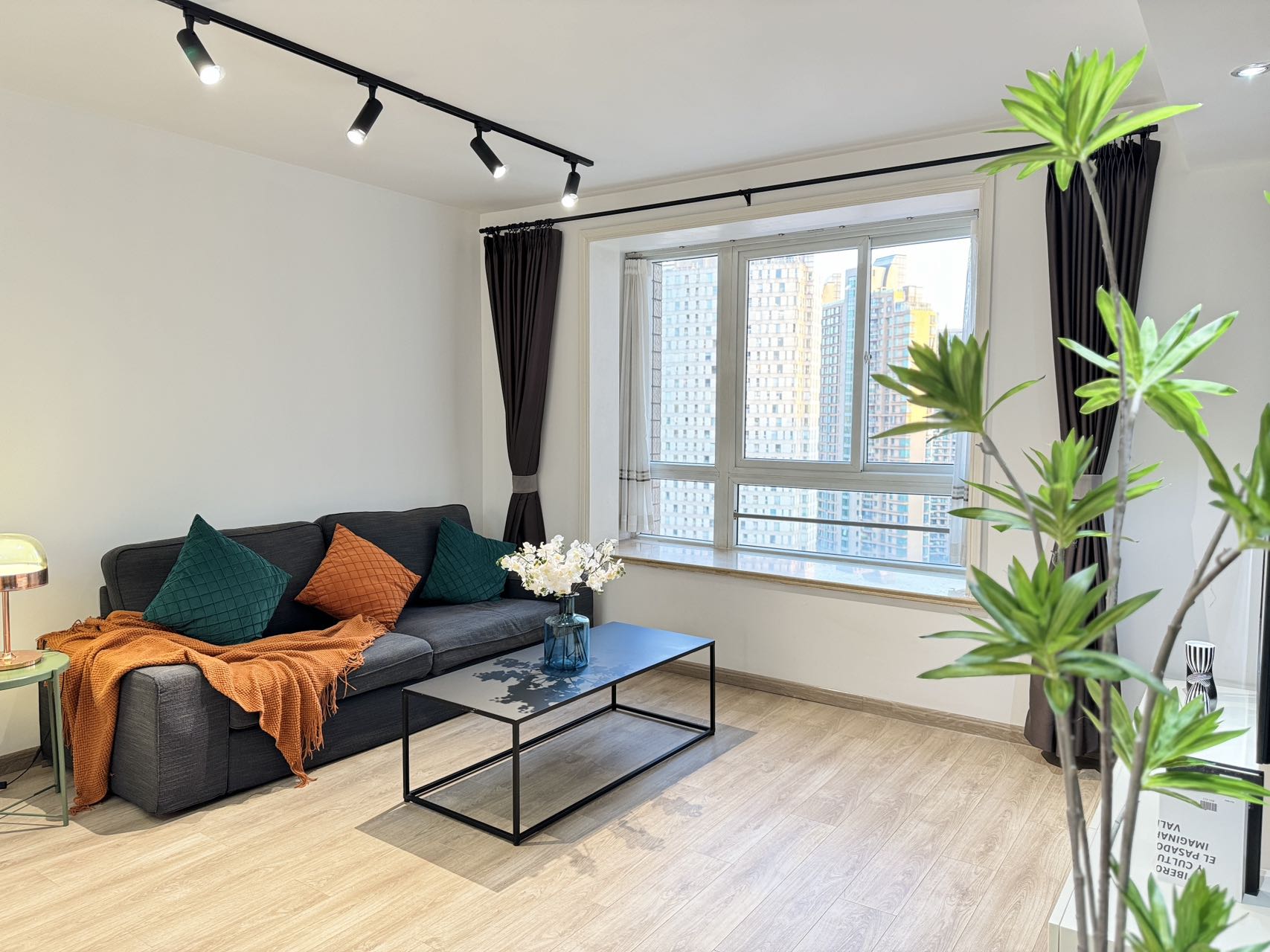 3br 2ba，16k，west nanjing rd（line2/12/13）