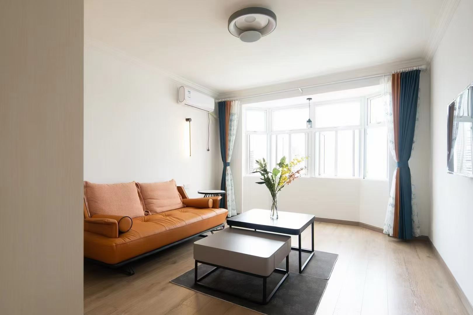 1br，9.5k，west nanjing rd（line2/12/13）